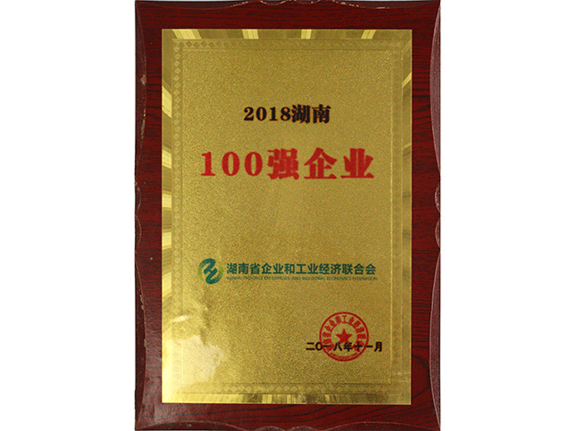 2018湖南100強企業